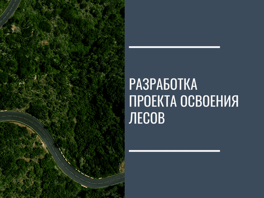 Проект освоения лесов приказ